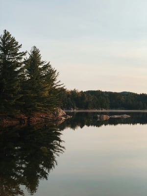 Water Views